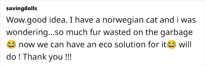 Creative Contribution To Bird Nest Construction, A Video Of These Cat Owners Donating Fur That Went Viral