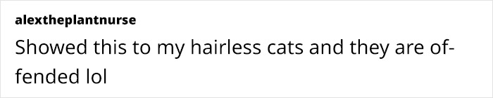 Creative Contribution To Bird Nest Construction, A Video Of These Cat Owners Donating Fur That Went Viral