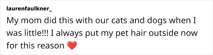 Creative Contribution To Bird Nest Construction, A Video Of These Cat Owners Donating Fur That Went Viral