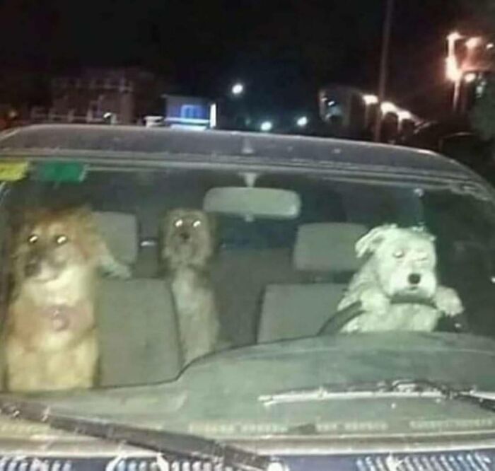 I Wonder What LED To This?