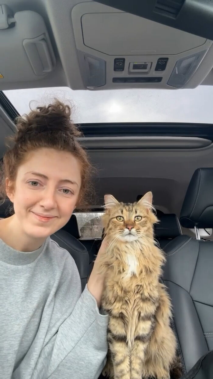 Just Adopted This Handsome Boy