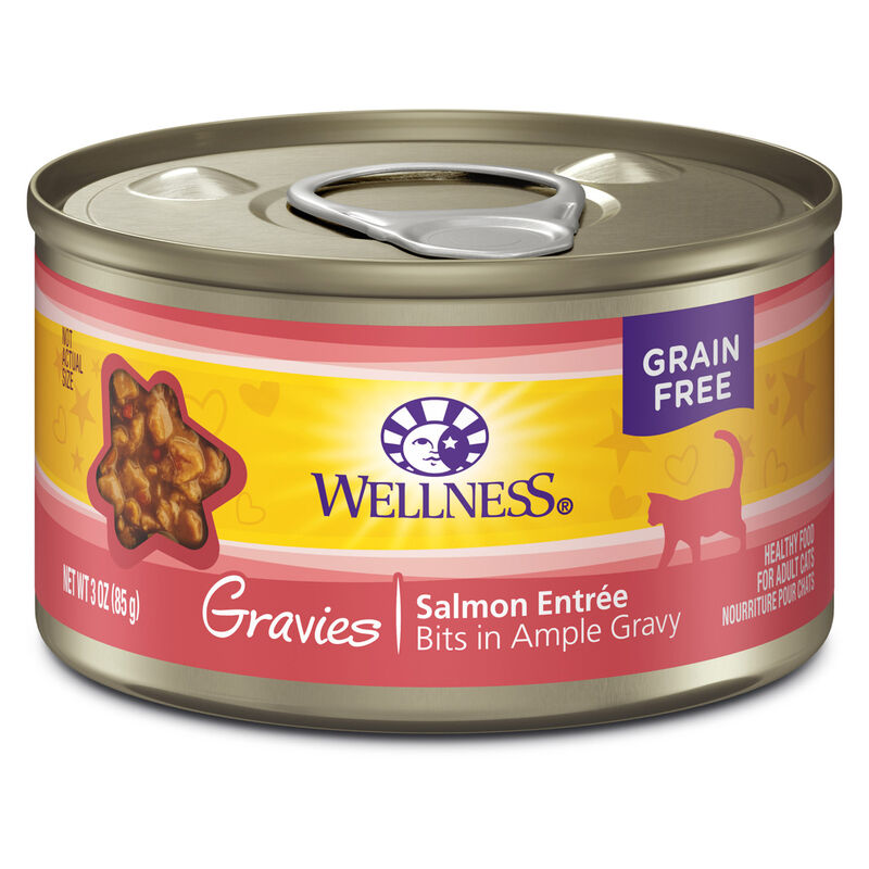 The Best Cat Food for Indoor Cats in 2024