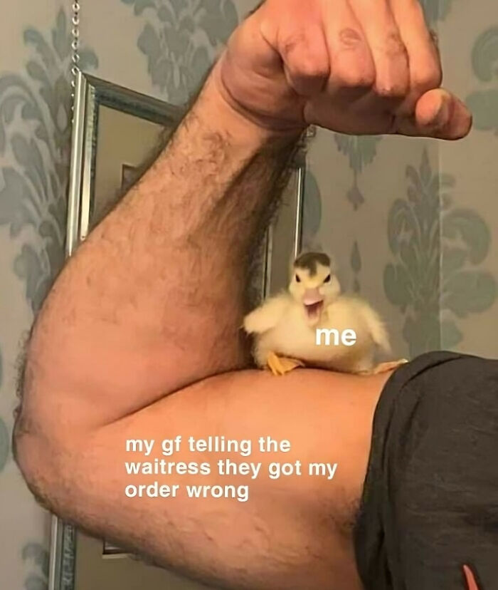 Absolutely-Not-Me-Irl-Memes-Posts