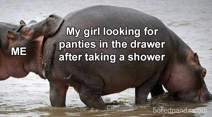 Absolutely-Not-Me-Irl-Memes-Posts