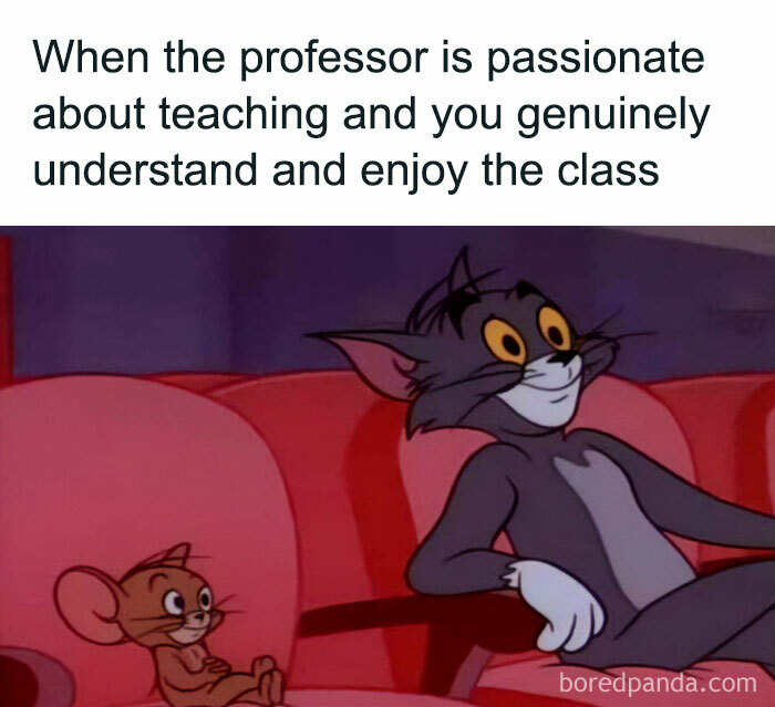 Absolutely-Not-Me-Irl-Memes-Posts