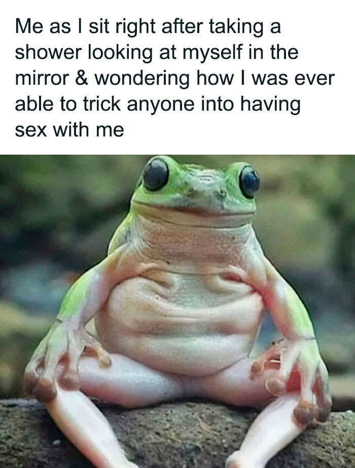 Absolutely-Not-Me-Irl-Memes-Posts