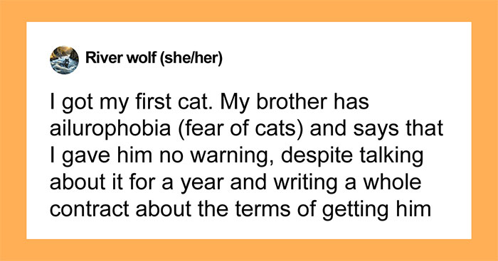 Hey Pandas, AITA For Being Irritated When My Brother Asks Me To Get Rid Of My Cat?