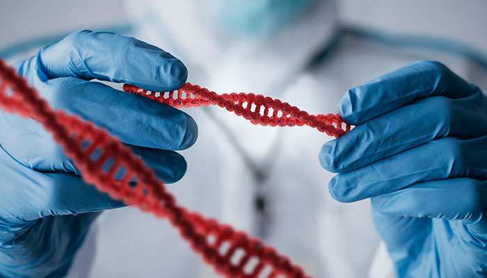 Genetic Study Reveals Massacre Of Europe’s Original Hunter-Gatherers By Early Settlers Genetic Study Reveals Massacre Of Europe’s Original Hunter-Gatherers By Early Settlers