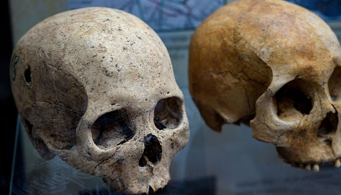 Genetic Study Reveals Massacre Of Europe’s Original Hunter-Gatherers By Early Settlers Genetic Study Reveals Massacre Of Europe’s Original Hunter-Gatherers By Early Settlers