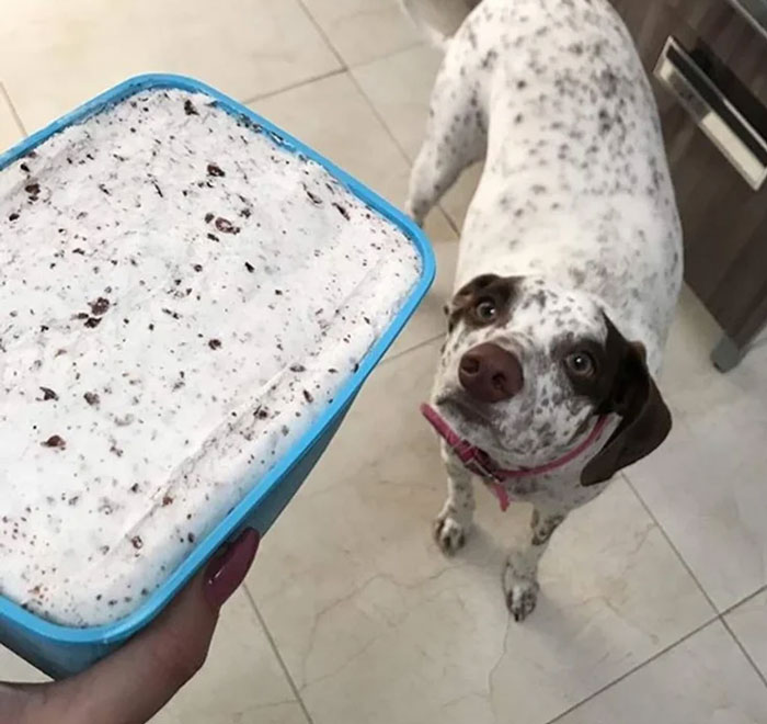 Cookies And Cream - Best Ice Cream Flavor