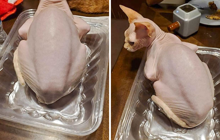 Always Cook Breast-Side Up, But Be Sure To Baste Throughout