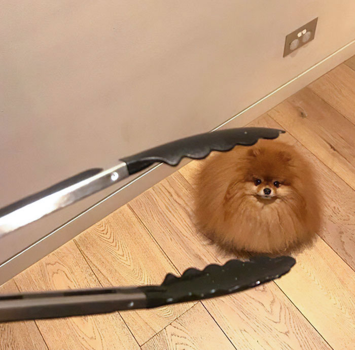 When A Meatball Falls Out Of The Pan