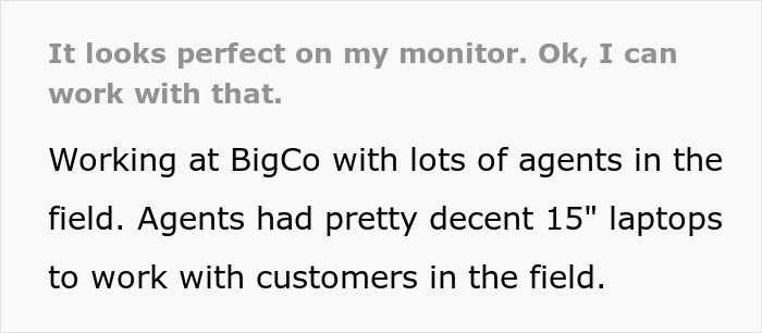 Team Manager Takes Designer's Big Monitors Away To Show How Real Users See Her Designs