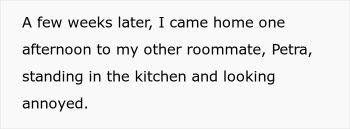 Roommate Complains About Dishes In The Sink, Regrets It When She Does The Same Thing