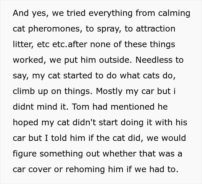 &ldquo;[Am I The Jerk] For Calling Off My $40K Wedding Because My Fianc&eacute; Dropped My Cat Off Somewhere?&rdquo;
