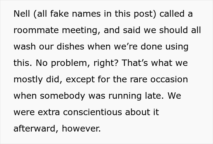 Roommate Complains About Dishes In The Sink, Regrets It When She Does The Same Thing
