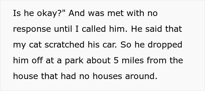 &ldquo;[Am I The Jerk] For Calling Off My $40K Wedding Because My Fianc&eacute; Dropped My Cat Off Somewhere?&rdquo;