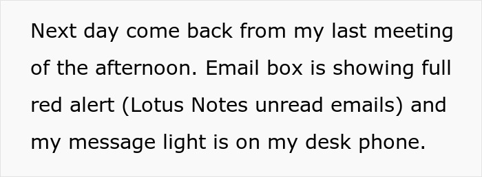 Team Manager Takes Designer's Big Monitors Away To Show How Real Users See Her Designs