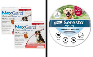 Best 8 Flea Medication for Dogs: Vet Approved Selection