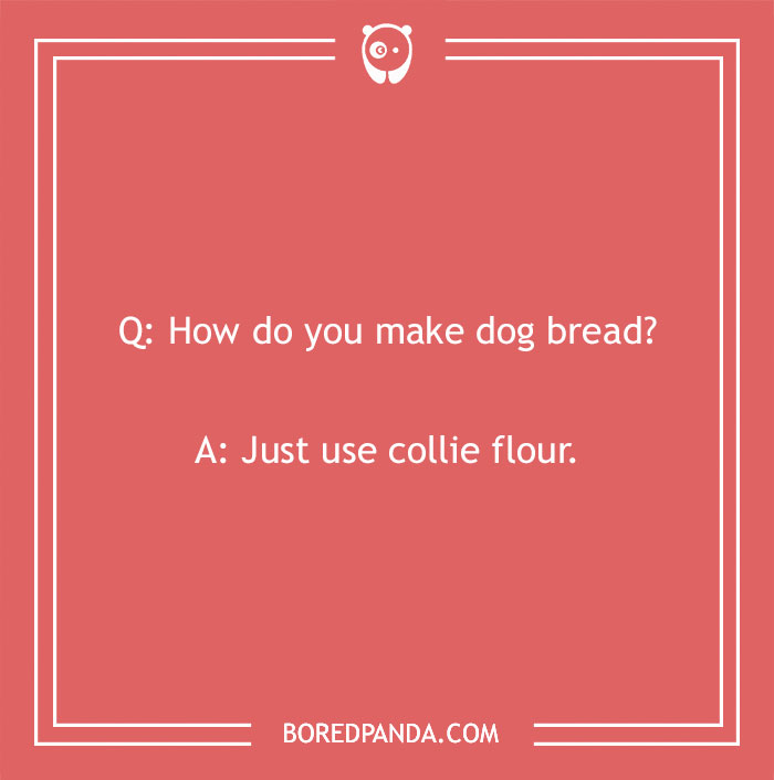 Bread pun: How do you make dog bread? Use collie flour, humor on red background.