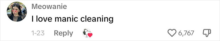 People Are Filming Their &ldquo;Manic Cleaning&rdquo; Routines, Leading To Warnings From Experts