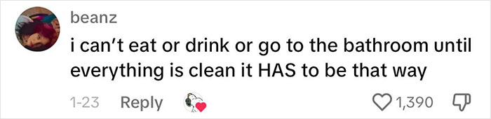 People Are Filming Their &ldquo;Manic Cleaning&rdquo; Routines, Leading To Warnings From Experts