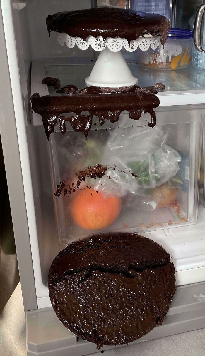 It's My Daughter's Birthday And I've Made Her A Cake. It's Been Cooling Down In The Fridge. Let Me Just Check On It Real Quick