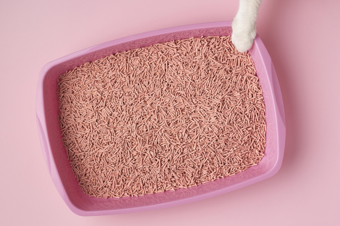 Image of cat litter.