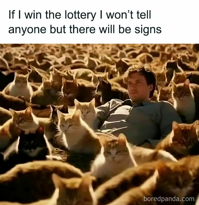 Man surrounded by many cats with a funny caption about winning the lottery.