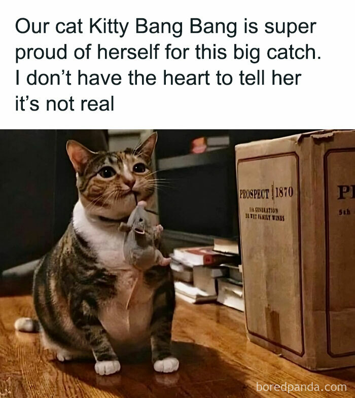 Cute cat proudly holding a toy mouse in its mouth, surrounded by boxes, capturing a funny moment.
