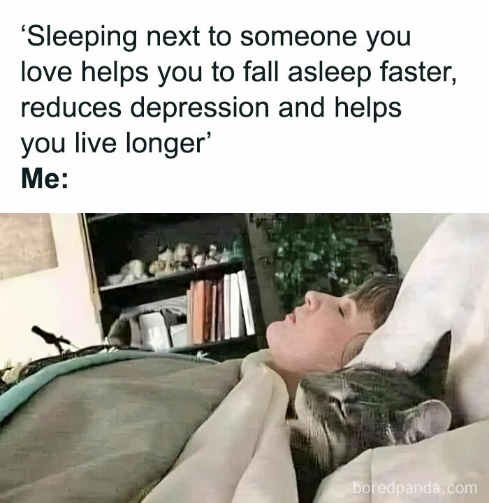 Person sleeping with a cat under a blanket, illustrating a cute and funny cat meme.