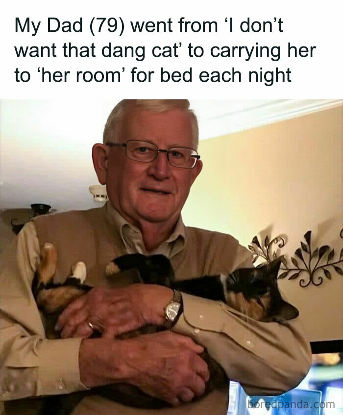 Elderly man holding a cat humorously, showcasing a cute and funny cat meme.