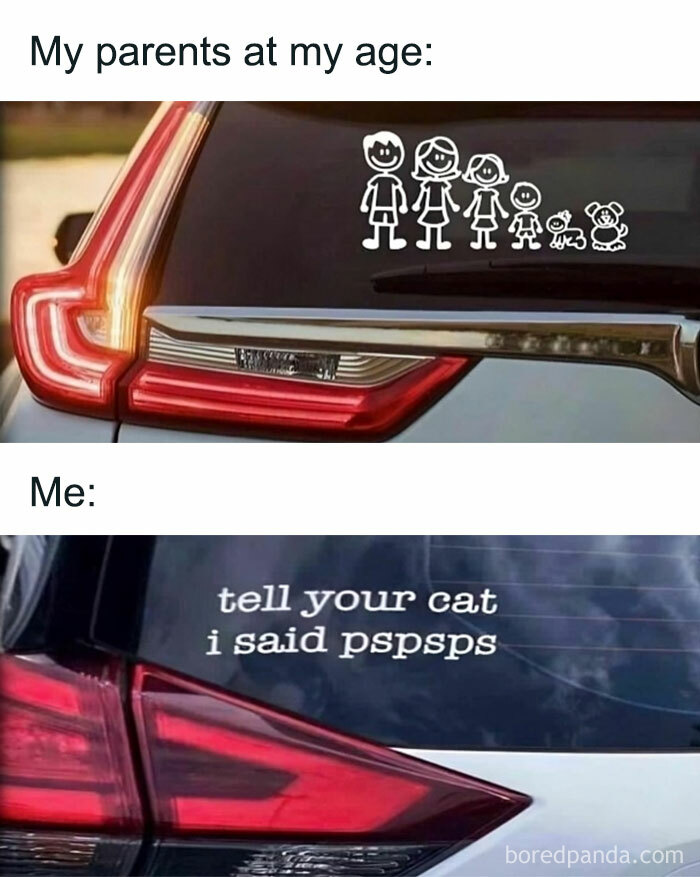 Car window meme comparing parents with a family decal and a playful cat reference.