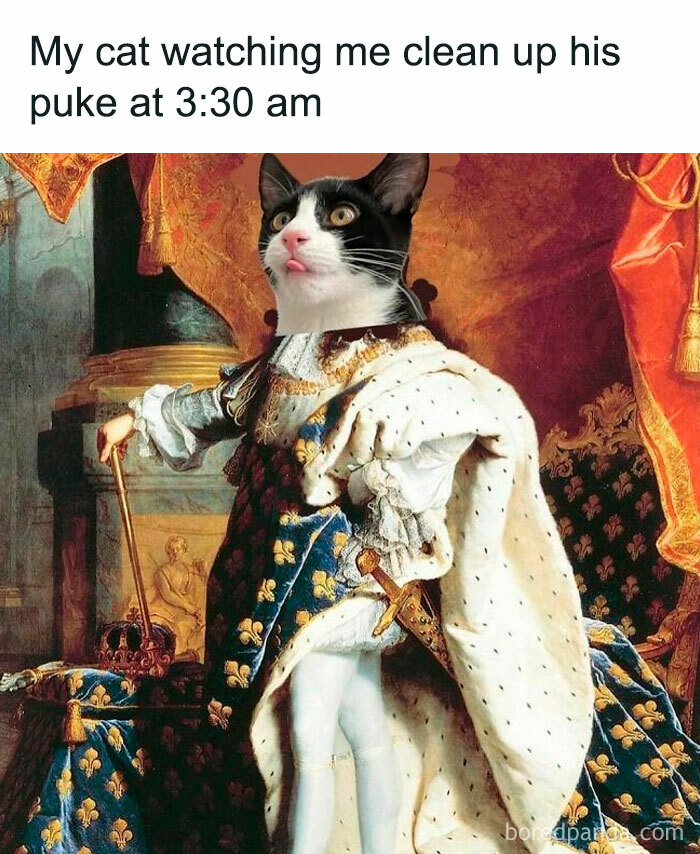 Cat's face photoshopped onto a royal portrait, capturing a funny meme scene.