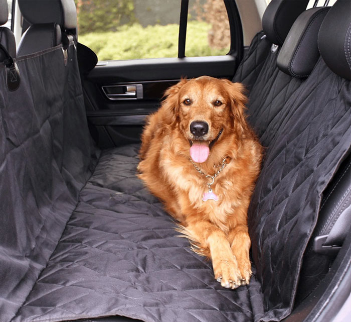 Upgrade Your Fur Baby's Lounging With Paw.com's Affordable, Stylish, And Pet-Approved Furniture!