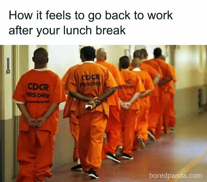 Circle-Of-Idiots-Memes-Jokes