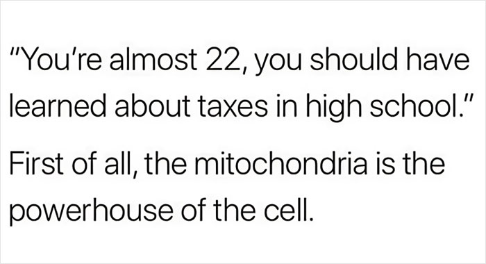 Circle-Of-Idiots-Memes-Jokes