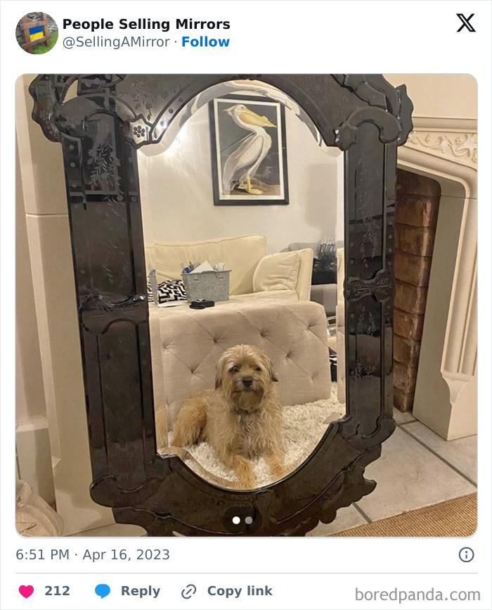 People-Selling-Mirrors-Funny-Pics