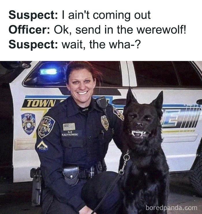 Funny animal meme: police officer with a fierce-looking black police dog, text jokes about dog being a "werewolf."