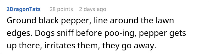 Sweet And Kind Mom Finally Snaps, Gets Revenge On Neighbors For Their Loud Dogs Sweet And Kind Mom Finally Snaps, Gets Revenge On Neighbors For Their Loud Dogs