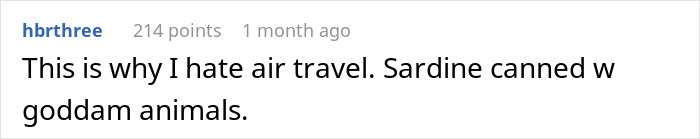Woman Labeled Obnoxious For Using Flashy Charger That Caused A Disturbance On Overnight Flight