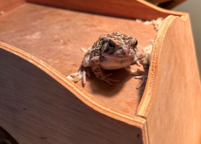 30 Times Folks Online Broke Rules Because They Made Zero Sense To Them