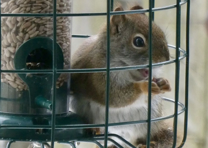 30 Times Folks Online Broke Rules Because They Made Zero Sense To Them