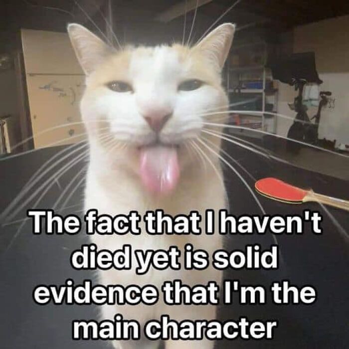 Confusing-Screenshots-With-Without-Context