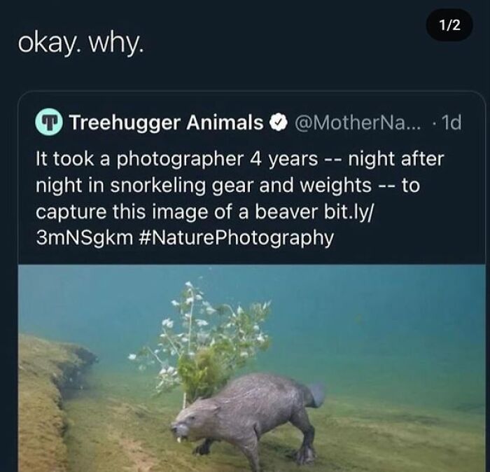 Confusing-Screenshots-With-Without-Context