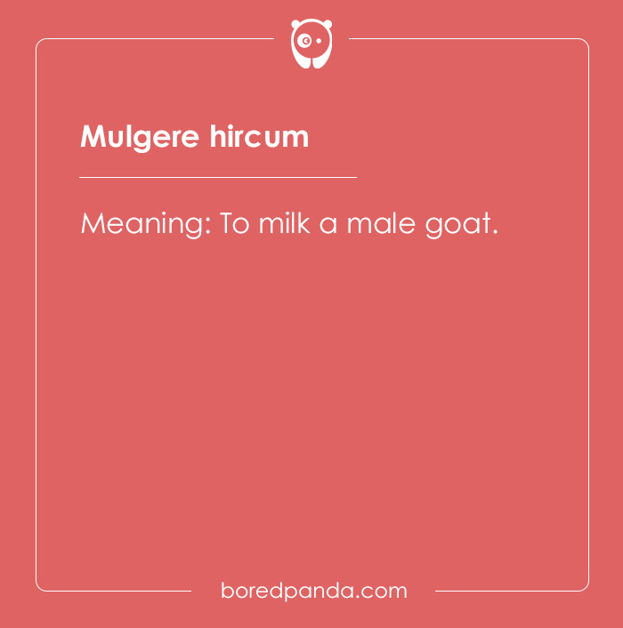 99 Cool Latin Words and Phrases to Add to Your Lingua