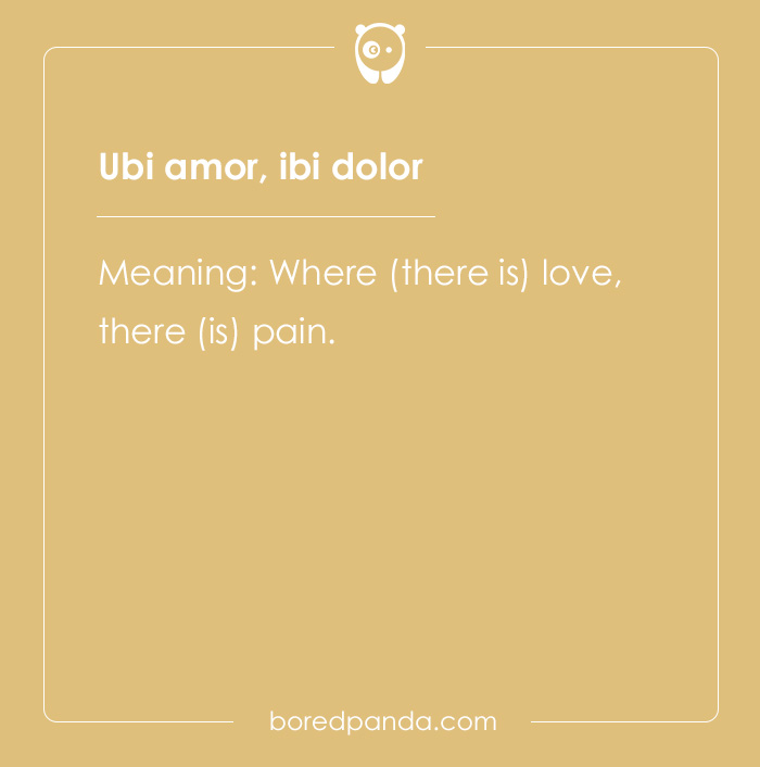 99 Cool Latin Words and Phrases to Add to Your Lingua