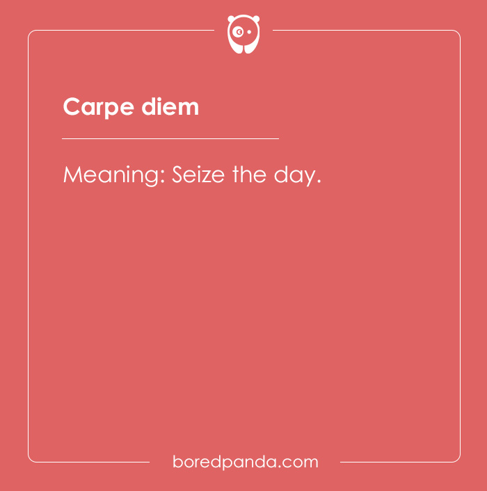 99 Cool Latin Words and Phrases to Add to Your Lingua