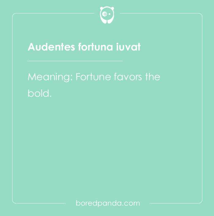 99 Cool Latin Words and Phrases to Add to Your Lingua