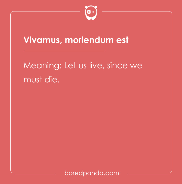 99 Cool Latin Words and Phrases to Add to Your Lingua